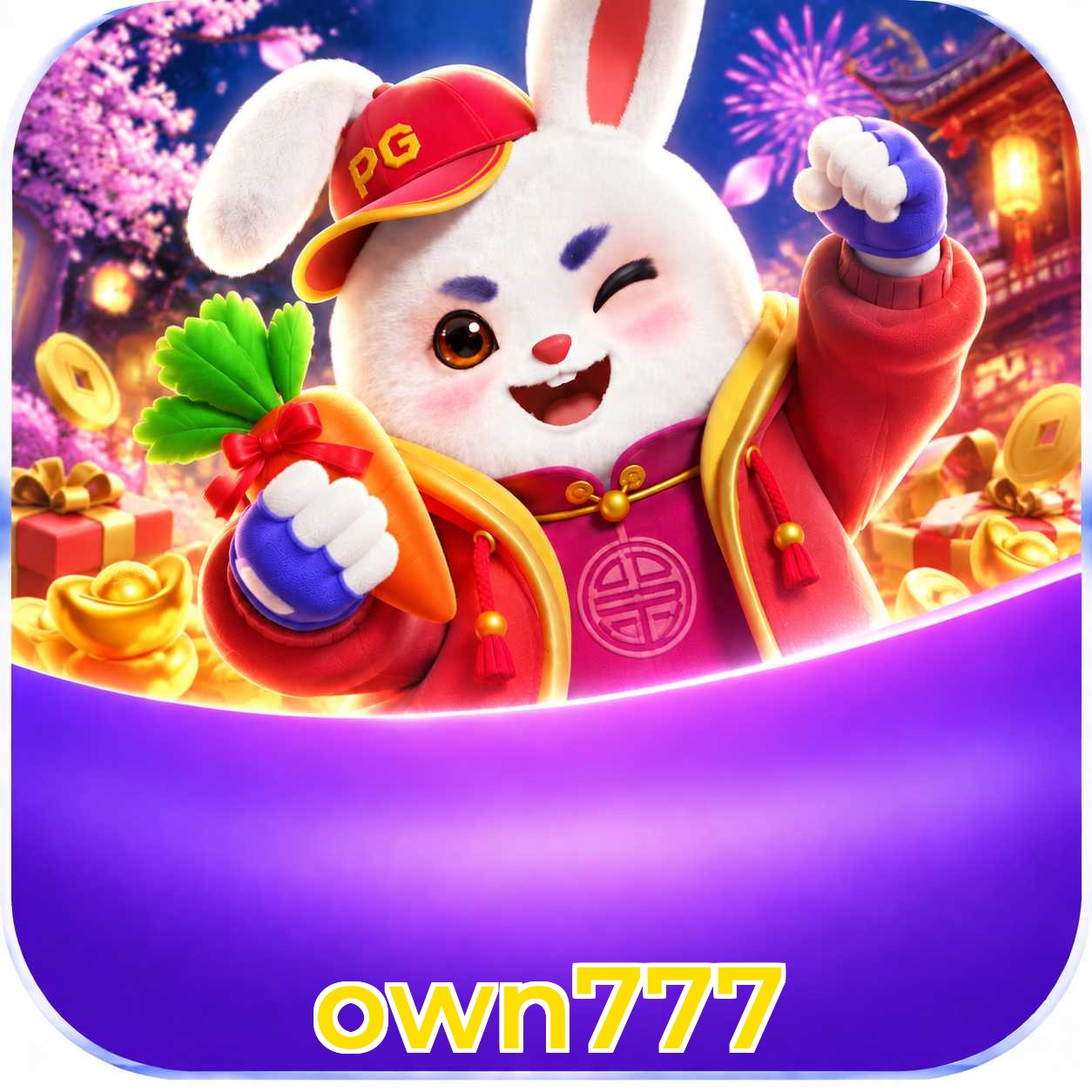 own777 Installation Guide
